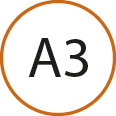 a3